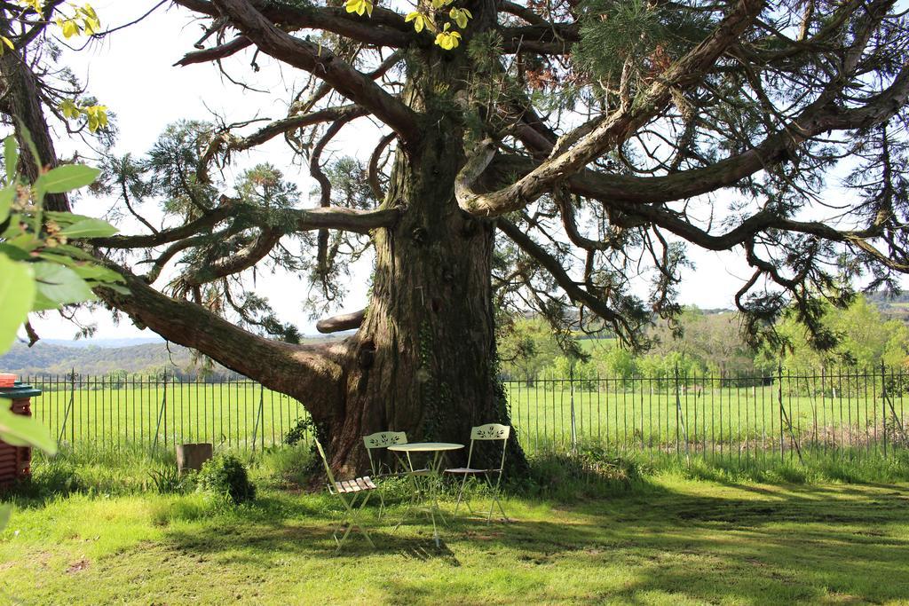 Chateau De Villeneuve - Montolieu Esterno foto